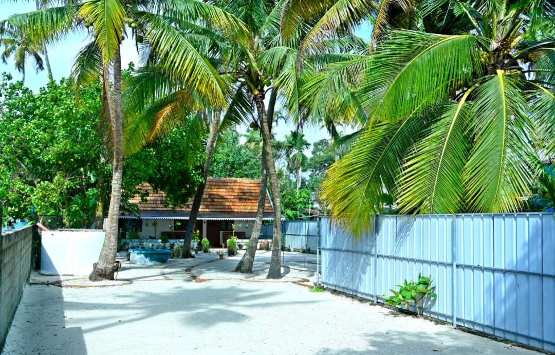 Photo of Others in Cherthala