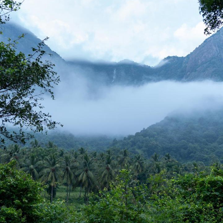 Photo of Others in Chittur