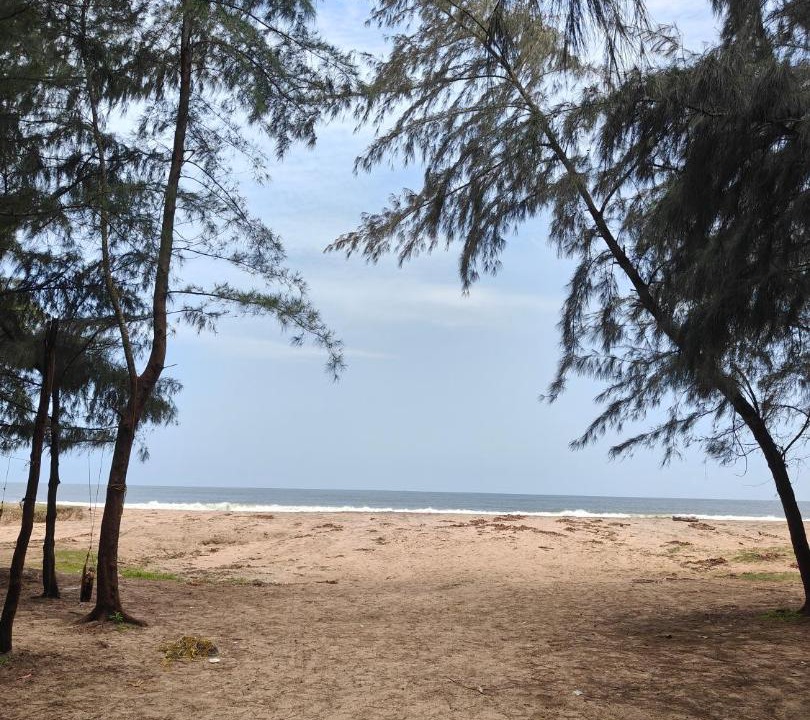 Photo of Others in Vypin