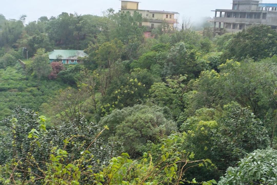 Photo of Others in Vagamon