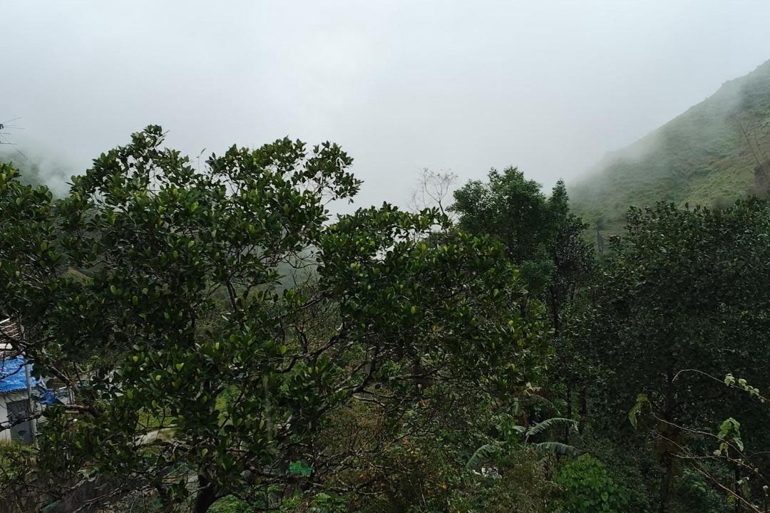 Photo of Others in Vagamon