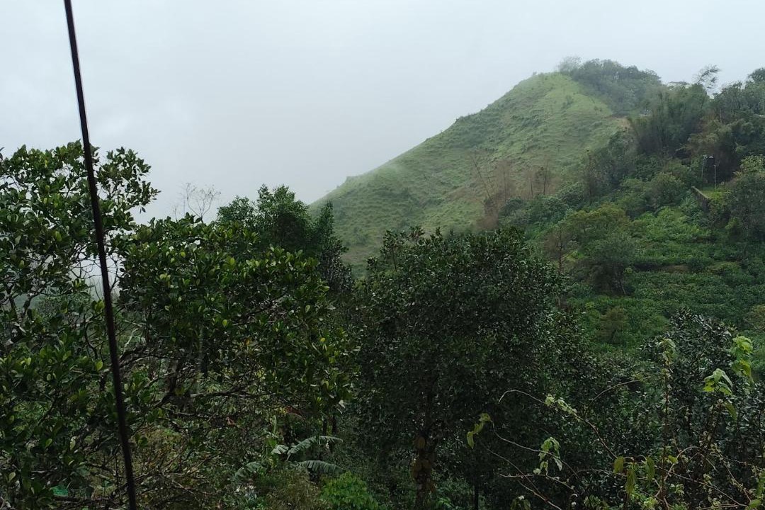 Photo of Others in Vagamon