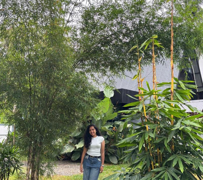 Photo of Outdoor in Kunnamangalam