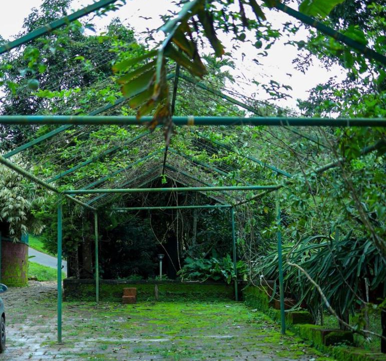 Photo of Others in Kattikkulam