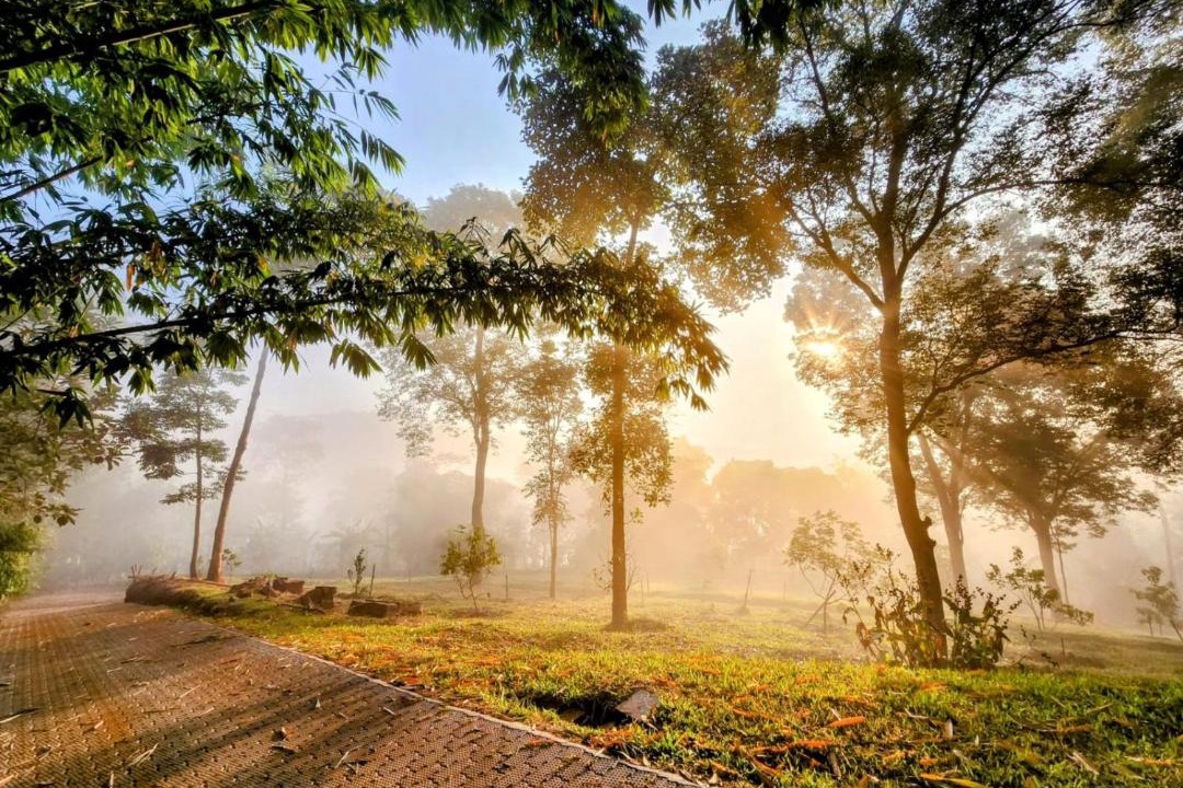 Photo of Others in Mananthavady