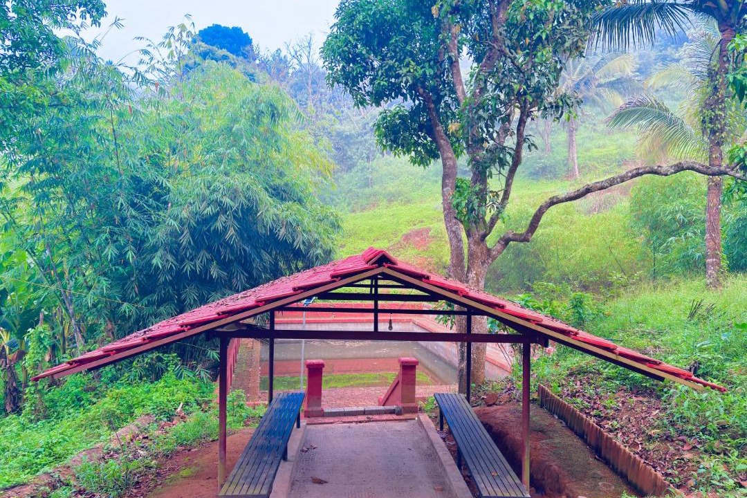 Photo of Others in Mananthavady