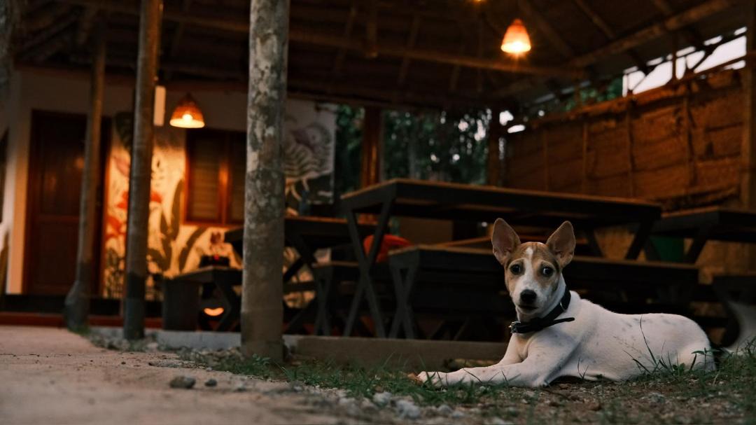 Photo of Others in Varkala