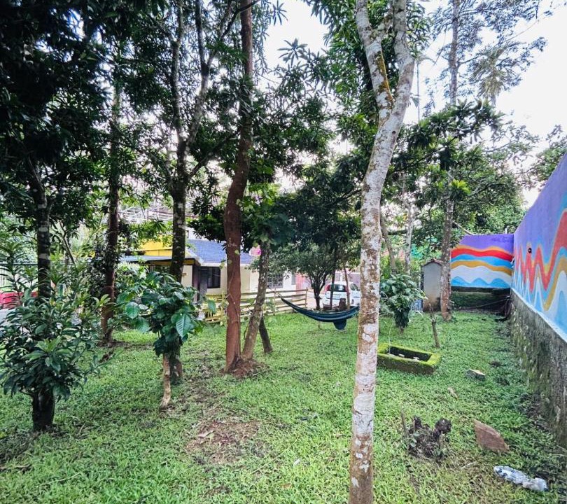 Photo of Outdoor in Sulthan Bathery