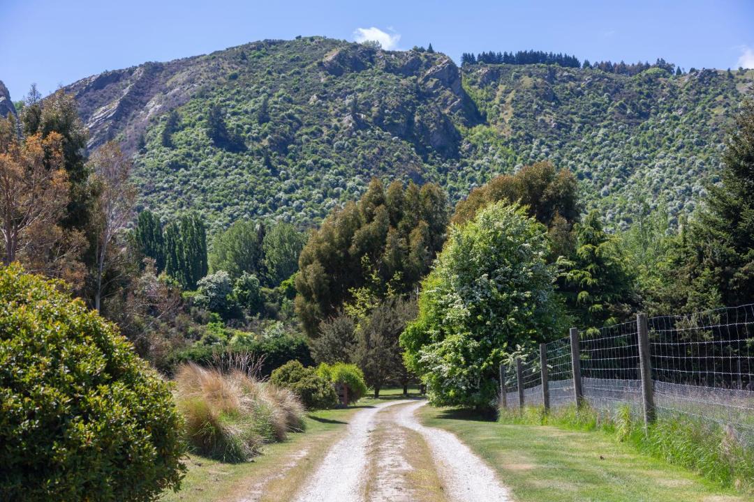 Photo of Others in Arrowtown