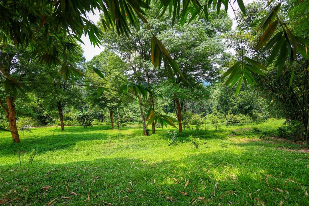 Photo of Outdoor in Mananthavady