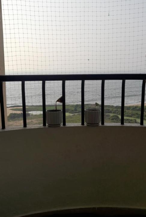 Photo of Patio Balcony in Kozhikode