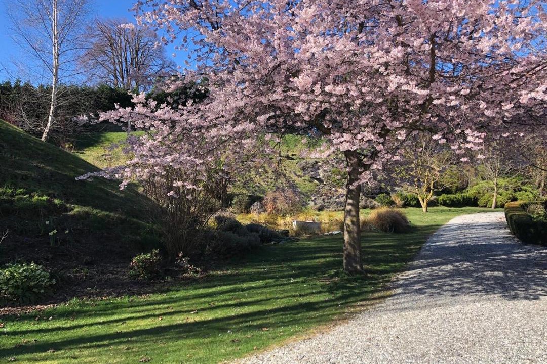 Photo of Outdoor in Lower Shotover