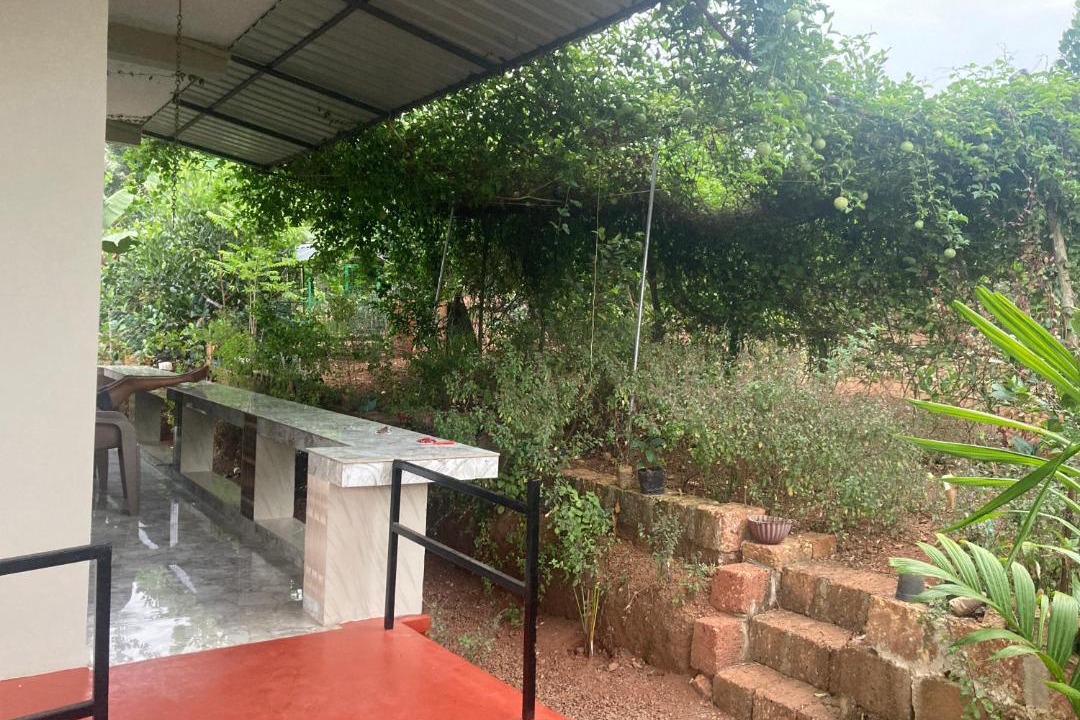 Photo of Others in Talipparamba