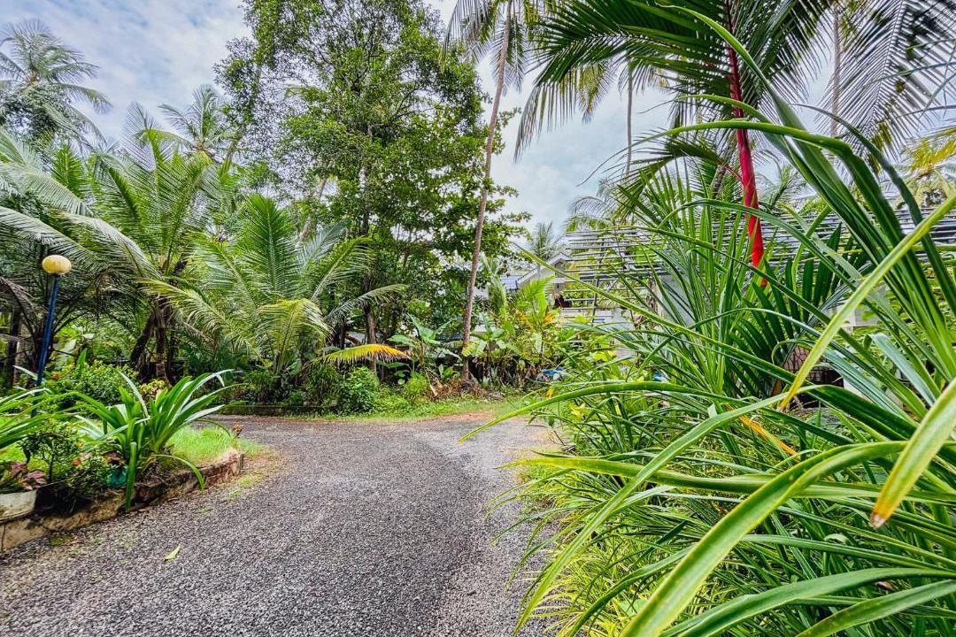 Photo of Outdoor in Kadalundi