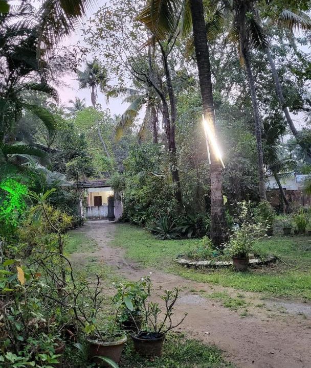 Photo of Others in Kuzhuppilly