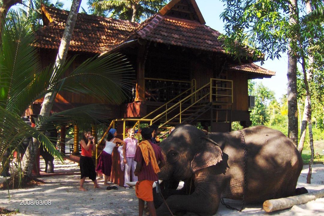 Photo of Others in Cherthala
