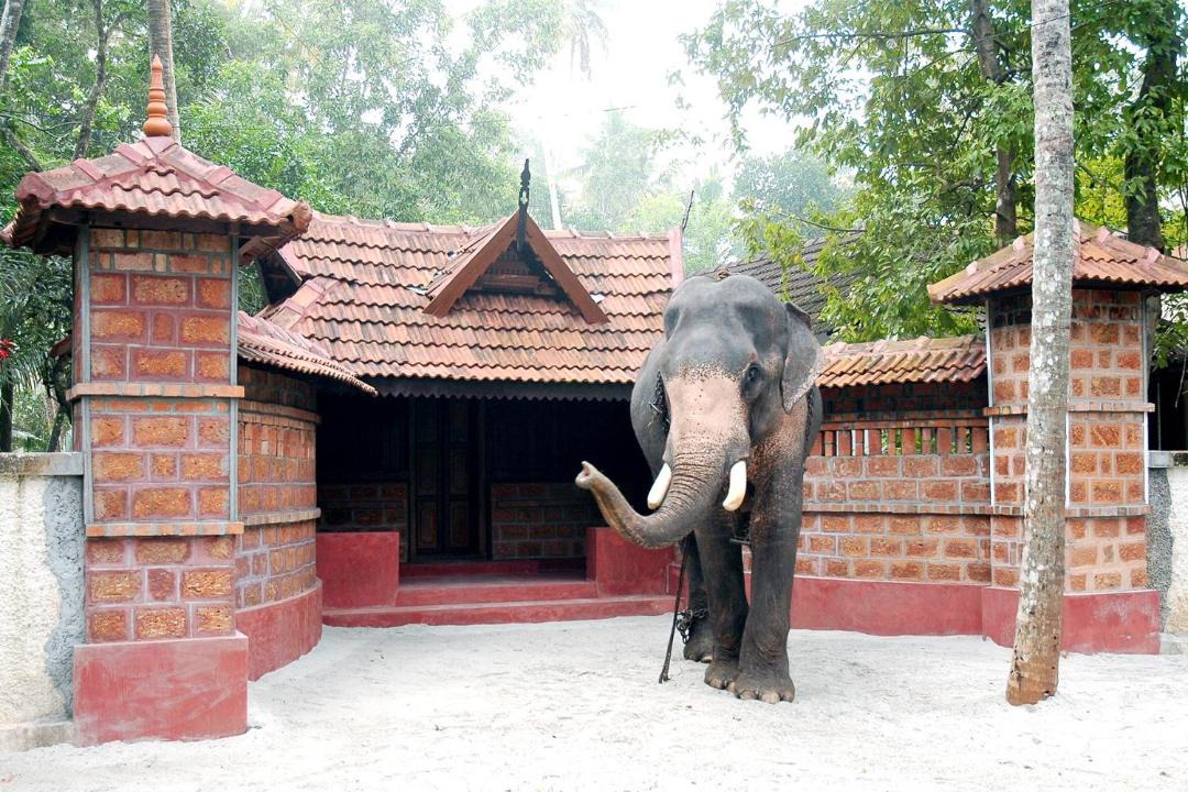Photo of Others in Cherthala