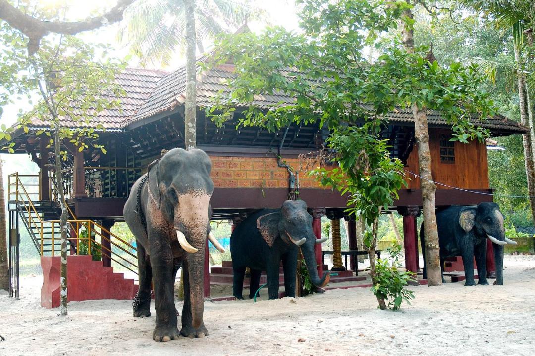Photo of Others in Cherthala