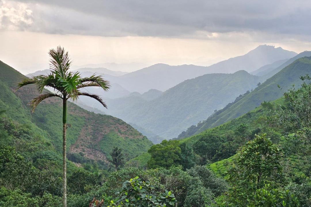 Photo of Others in Vagamon