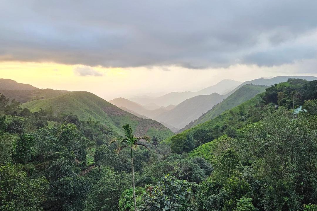 Photo of Others in Vagamon