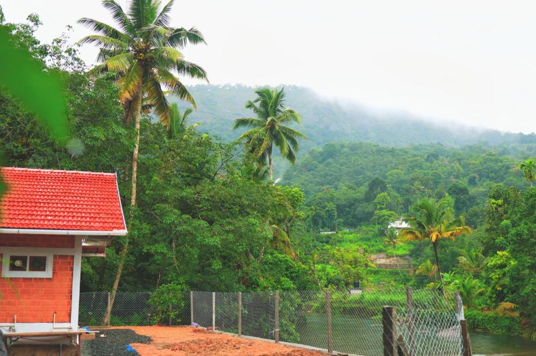 Photo of Others in Devikolam