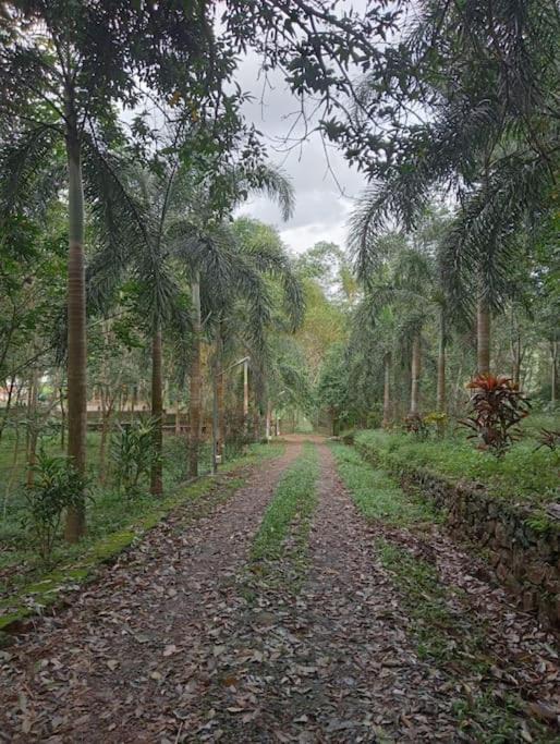 Photo of Outdoor in Kedavur