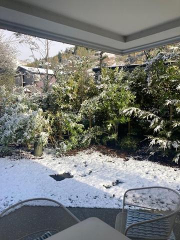 Photo of Patio Balcony in Arthur's Point