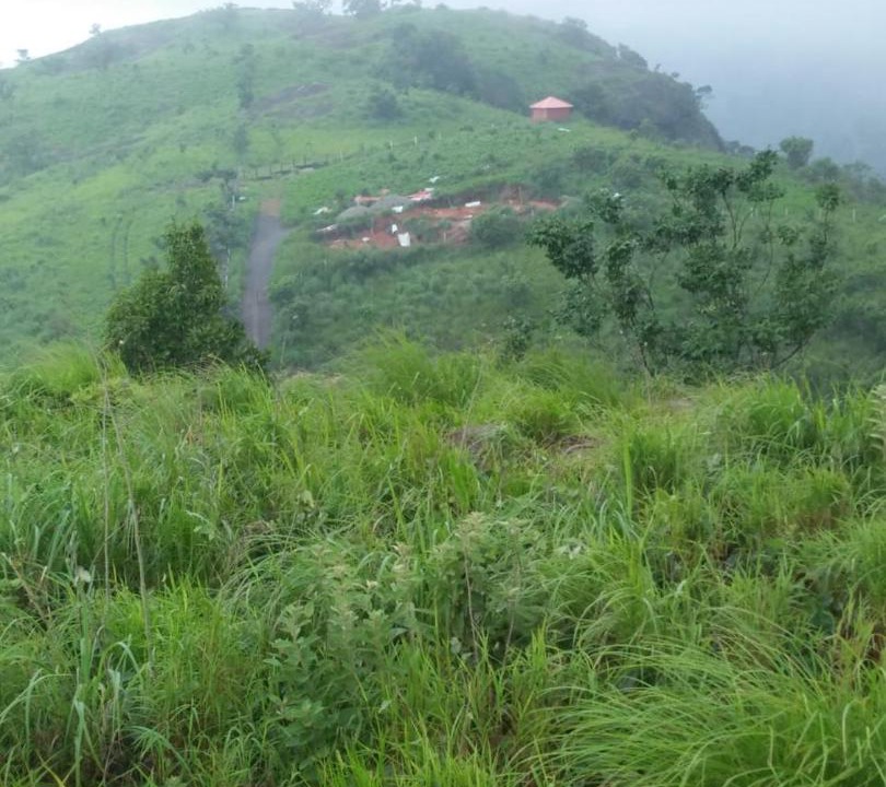 Photo of Outdoor in Devikolam