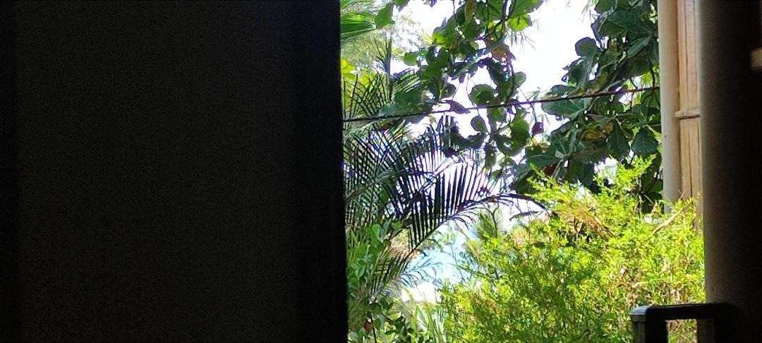 Photo of Others in Varkala