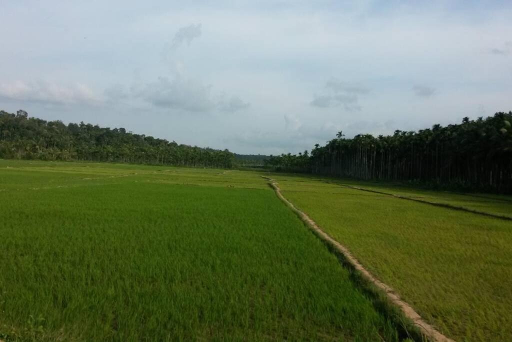 Photo of Others in Panamaram