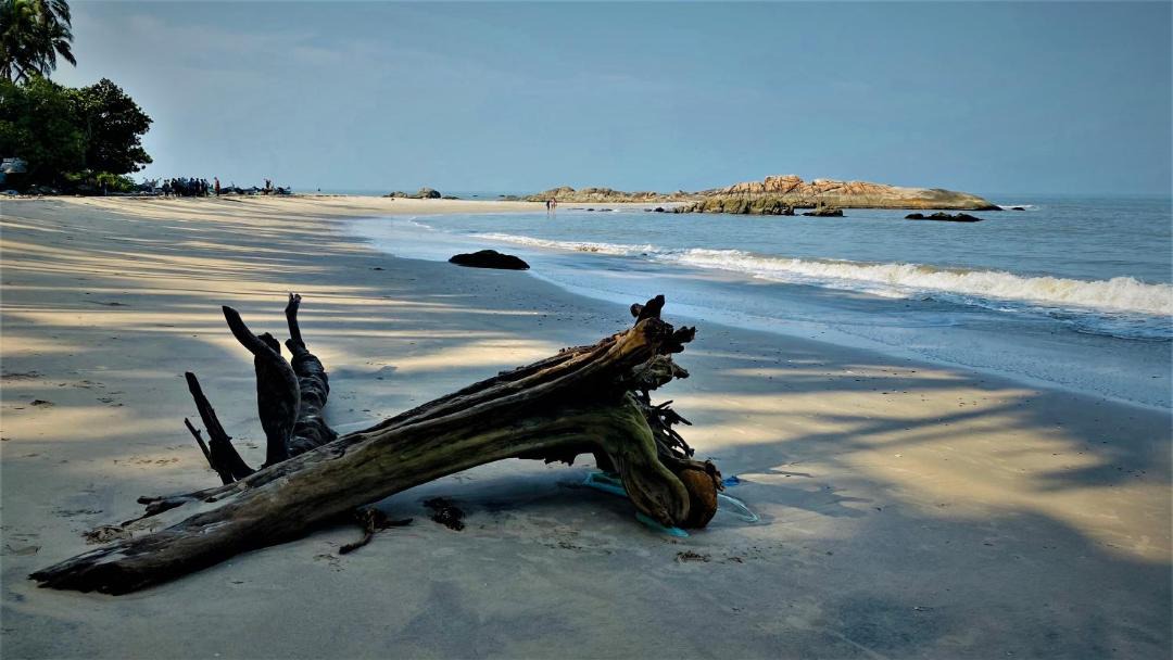 Photo of Others in Kannur