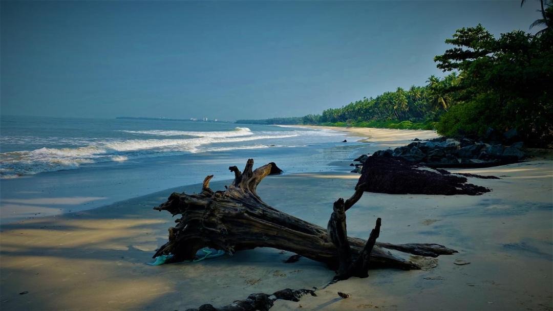 Photo of Others in Kannur