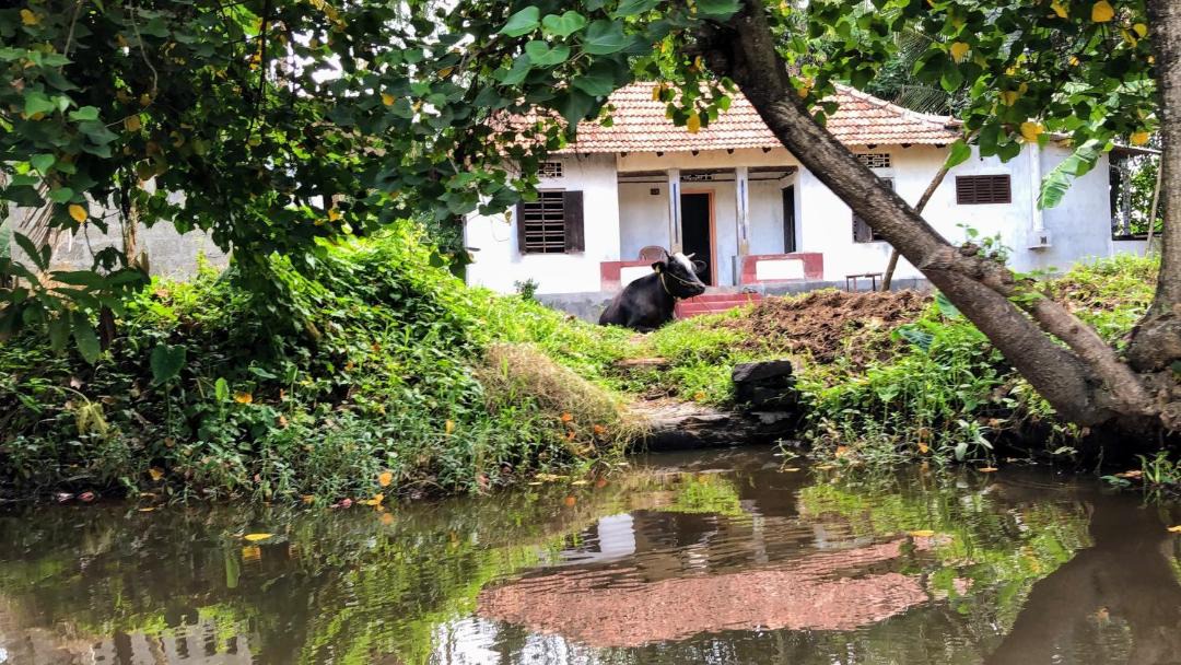 Photo of Buildings in Champakulam