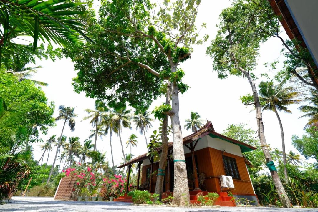 Photo of Others in Mararikulam
