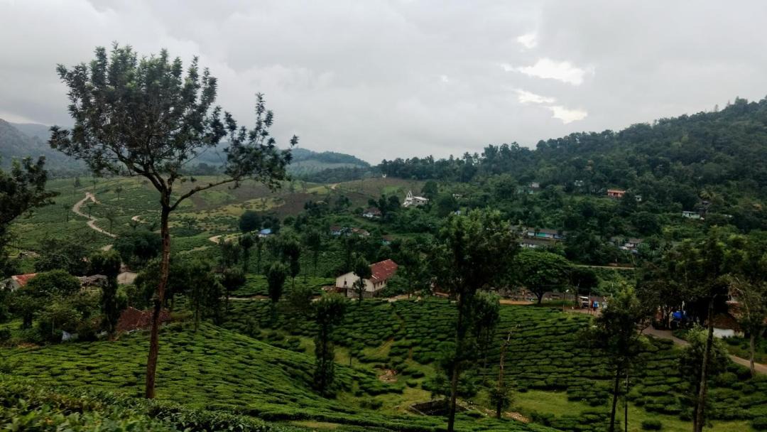 Photo of Outdoor in Kuttikkanam