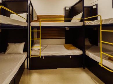 Bed in 6-Bed Mixed Dormitory Room